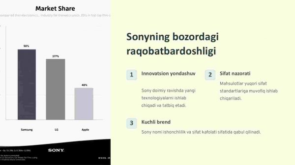 Sonyning elektronika va ko'ngilochar mahsulotlar bozoridagi o'rni - Image 2