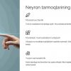 Sun'iy neyron tarmoqlari va ularning xususiyatlari - Image 4