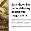 Sutemizuvchi va parrandalarning anatomiyasi taqqoslanishi