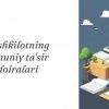 Tashkilotning qonuniy ta'sir doiralari
