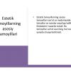 Tasvir va timsollar estetikasining asosiy tamoyillari - Image 4