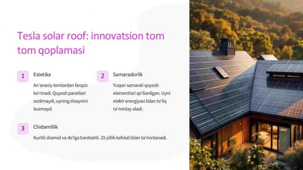 Tesla: elektromobillar va barqaror energiya kelajagi - Image 4