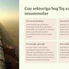 Turkmaniston iqtisodiyoti: gaz eksporti va iqtisodiy rivojlanish - Image 3