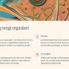 Turli xil baliq turlarining biologiyasi va ko'payishi - Image 3