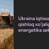 Ukraina iqtisodiyoti: qishloq xo'jaligi va energetika sektori