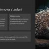 Umurtqali hayvonlarning himoya mexanizmlari - Image 3