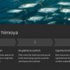 Umurtqali hayvonlarning himoya mexanizmlari - Image 4