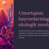 Umurtqasiz hayvonlarning ekologik moslashishi