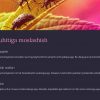 Umurtqasiz hayvonlarning ekologik moslashishi - Image 2