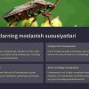 Umurtqasizlarning rivojlanishi va ularning turlari - Image 3