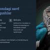 Xavf ostidagi qush turlari va ularning himoya choralari - Image 3
