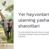 Yer hayvonlari va ularning yashash sharoitlari