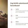 Yer yuzidagi eng kichik va eng yirik hayvonlar - Image 3