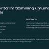 Ekvador ta'lim tizimi - Image 3