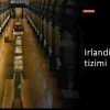 Irlandiya ta'lim tizimi