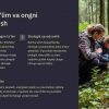 Norvegiya ta'lim tizimi - Image 2