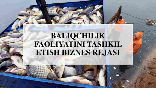 Baliqchilik faoliyatini tashkil etish biznes rejasi