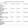“Chizma geometriya” fanidan 2-kurs talabalari uchun testlar to'plami