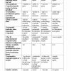 “Ingliz tili metodikasi” fanidan 4-kurs talabalari uchun testlar to'plami