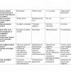 O'zbek tilining nazariy grammatikasi fanidan test savollari - Image 3