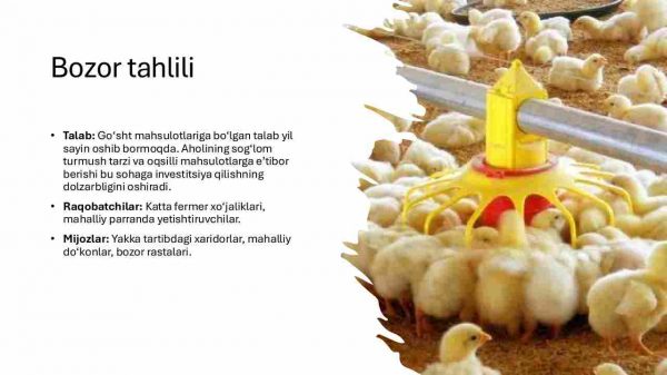 Tadbirkorlik faoliyatlarini tashkil etish parrandachilik yo'nalishi - Image 4