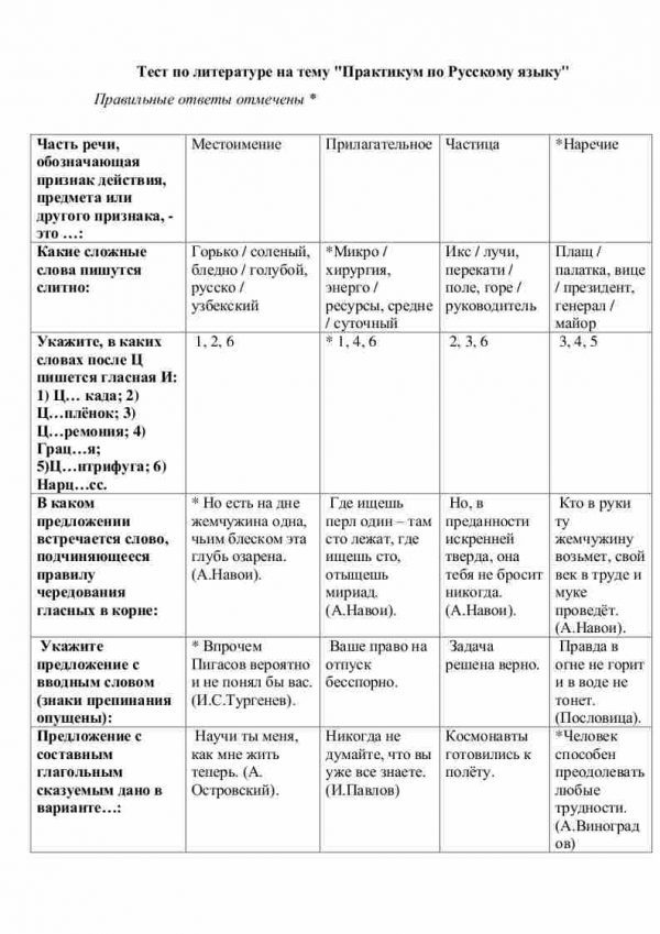 Тест по литературе на тему "Практикум по Русскому языку"