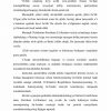 O'zbekistonda huquqiy demokratik davlat va fuqarolik jamiyat asoslarining barpo etilishi - Image 2