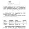 AT da ma'lumotlarni tashkil qilish va tasvirlash. AT da axborotni izlash va ajratish tamoyillari. - Image 3