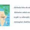 Afrikaning iqlim mintaqalari - Image 2