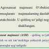 Agrosanoat  majmuasi - Image 2