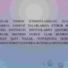 Asotsial shaxs bilan psixologik konsultatsiya - Image 3