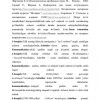 Axborot tizimlari turlari - Image 2