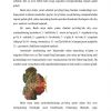 Bosh miya: miya qismlari, miya po'stlog'i - Image 3