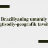 Braziliyaning umumiy iqtisodiy-geografik tavsifi