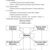 Ekologik tizim. Biosenoz - Image 3