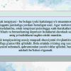 Ertak terapiyasi va uning bolalar bilan ishlashdagi ahamiyati - Image 3