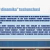 Ijtimoiy dinamika va ijtimoiy nazorat - Image 2