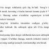 Issiq iqlim mintaqalari - Image 3