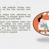 Kasbiy nutq odobi. Pedagog nutqining o'ziga hosligi - Image 3