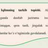 Materik iqlimining xususiyatlari - Image 2