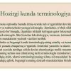 O'zbek tilining lug'atida soha terminlarining berilishi - Image 3