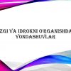 Sezgi va idrokni o'rganishdagi yondashuvlar