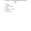 Virusli gepatit V, S, D epidemiologiyasi, profilaktikasi va epidemiologik nazorat