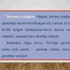 Yevrosiyo aholisi va siyosiy xaritasi - Image 4