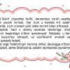 1-sinf tarbiya - Image 3