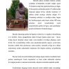 9-may xotira va qadrlash kuni - Image 4