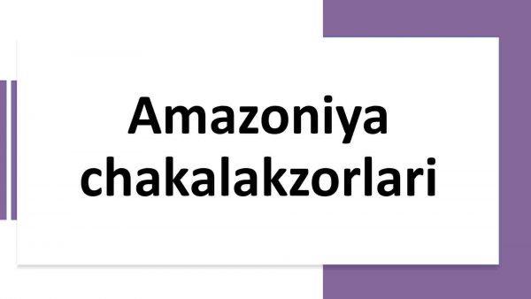 Amazoniya chakalakzorlari