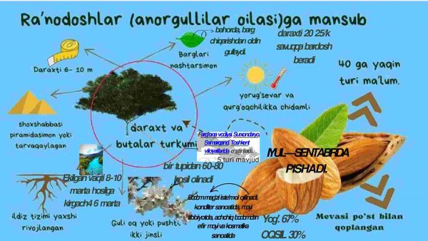 Ra’nodoshlar (anorgullilar) oilasiga mansub o’simliklar va qarg’asimonlar oilasiga mansub qushlar - Image 2