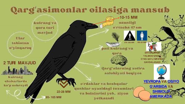 Ra’nodoshlar (anorgullilar) oilasiga mansub o’simliklar va qarg’asimonlar oilasiga mansub qushlar - Image 3