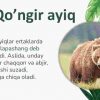 Tayga yirtqichlari - Image 2